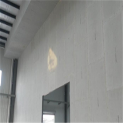 秦皇岛宁波ALC板|EPS加气板隔墙与混凝土整浇联接的实验研讨